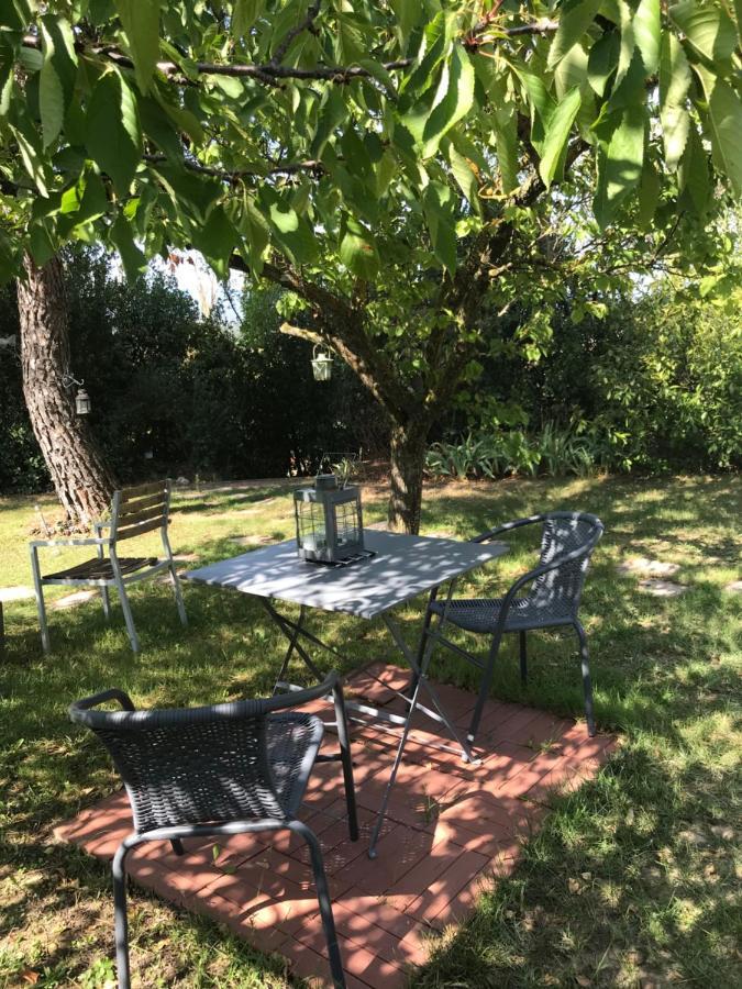 Le Jardin De La Cite Bed and Breakfast Καρκασόν Εξωτερικό φωτογραφία