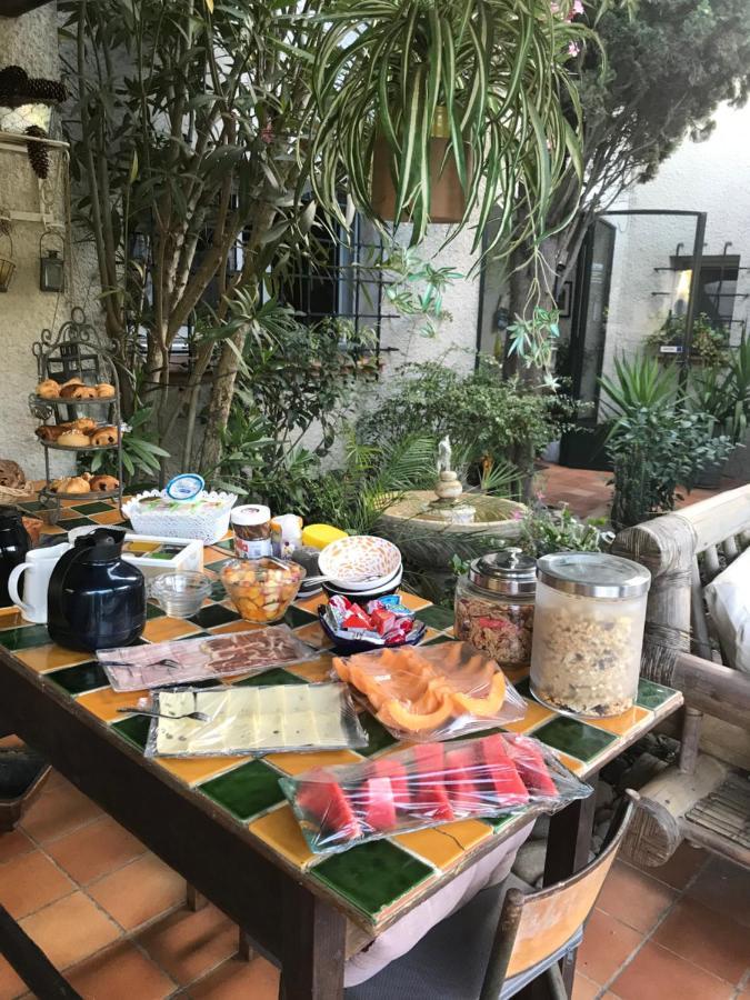 Le Jardin De La Cite Bed and Breakfast Καρκασόν Εξωτερικό φωτογραφία